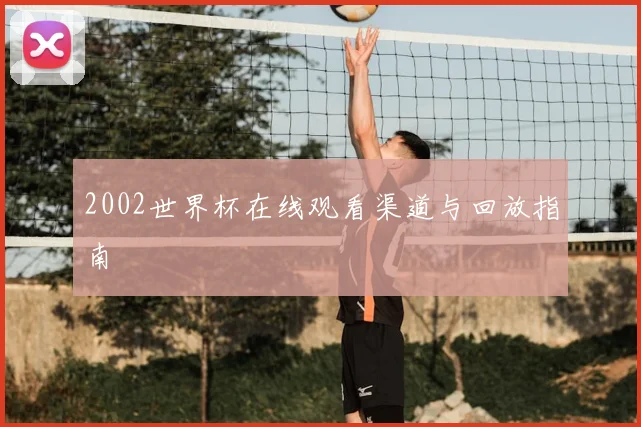 2002世界杯在线观看渠道与回放指南