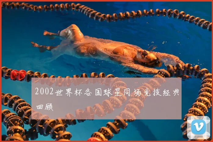 2002世界杯各国球星同场竞技经典回顾