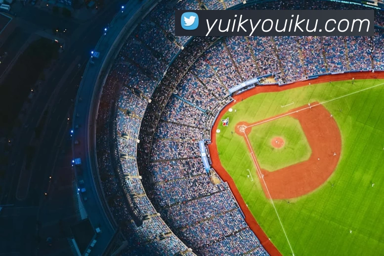 米兰app官网入口链接服务体系